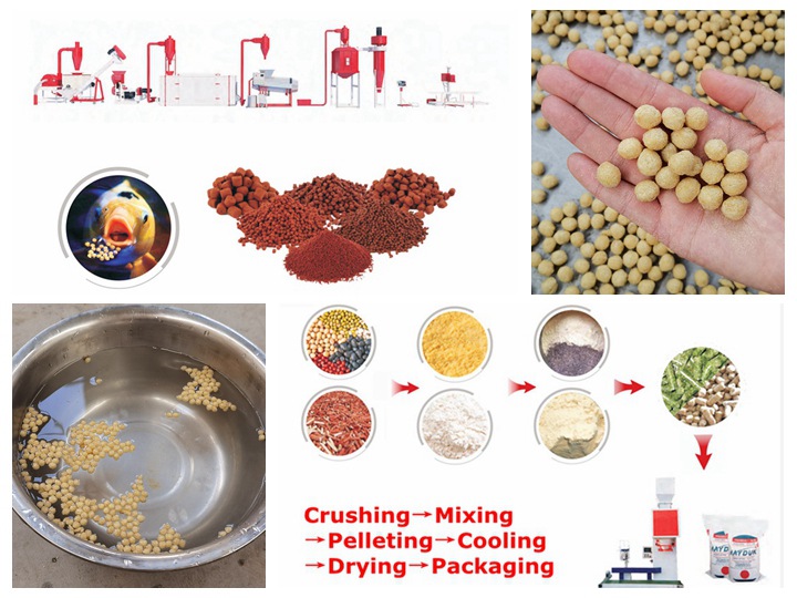 wet type tropical fish feed processing machinery and equipment in South Korea